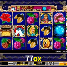 77ox Rio de Janeiro - Bonus Terms